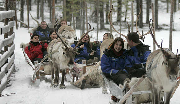 reindeer safari at Arctic Circle near Rovaniemi.