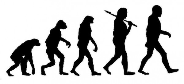 New theory of evolution